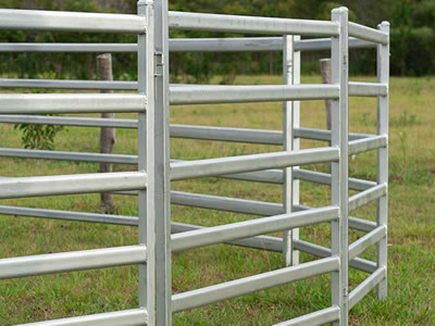 Oval tube corral panel fence stands on the lawn. The panels with square <d>frame</d> and six square tubes.