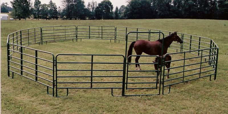 A big horse and a small horse standing on the ground. They are surrounded by the black coated fence and gate.